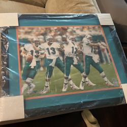 Dan Marino Singed Picture 