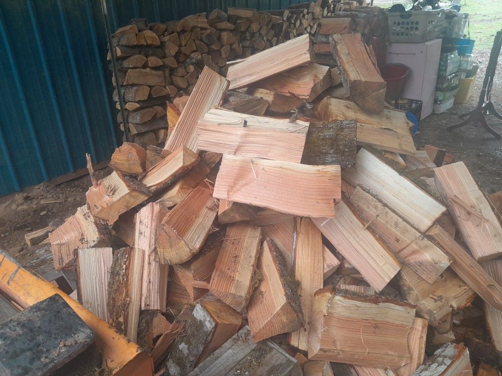 Firewood Dry As A Bone