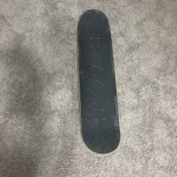 Santa Cruz Skateboard