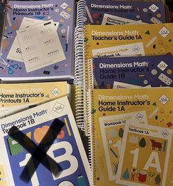 Dimensions 1 Singapore math Homeschool