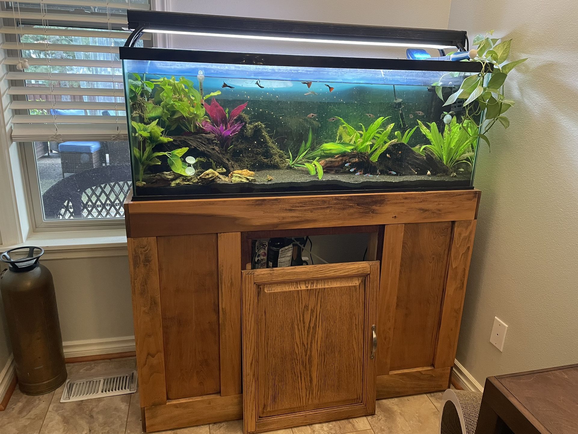 55g Tank And Stand