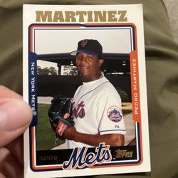 Pedro Martinez Baseball Card