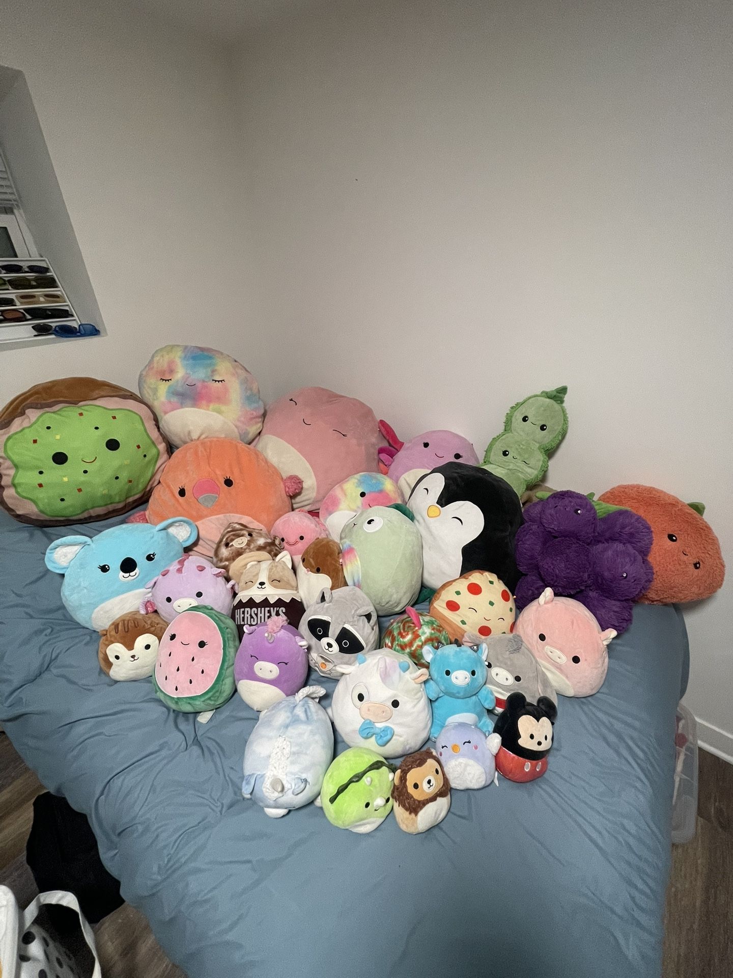 Squishmallows / Squishables