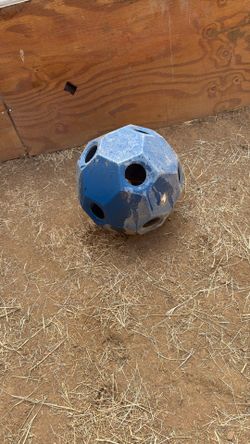 Hay Ball Feeder