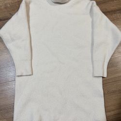 Babaton Aritzia turtleneck sweater dress wool