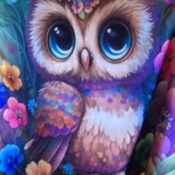 Owl Blanket 