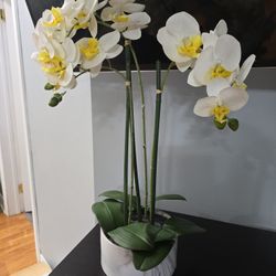 Artificial 2Feet Orchid