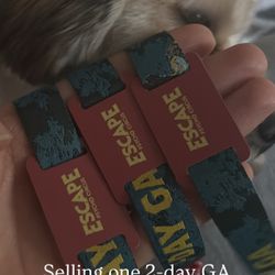 2 Day GA Escape Ticket