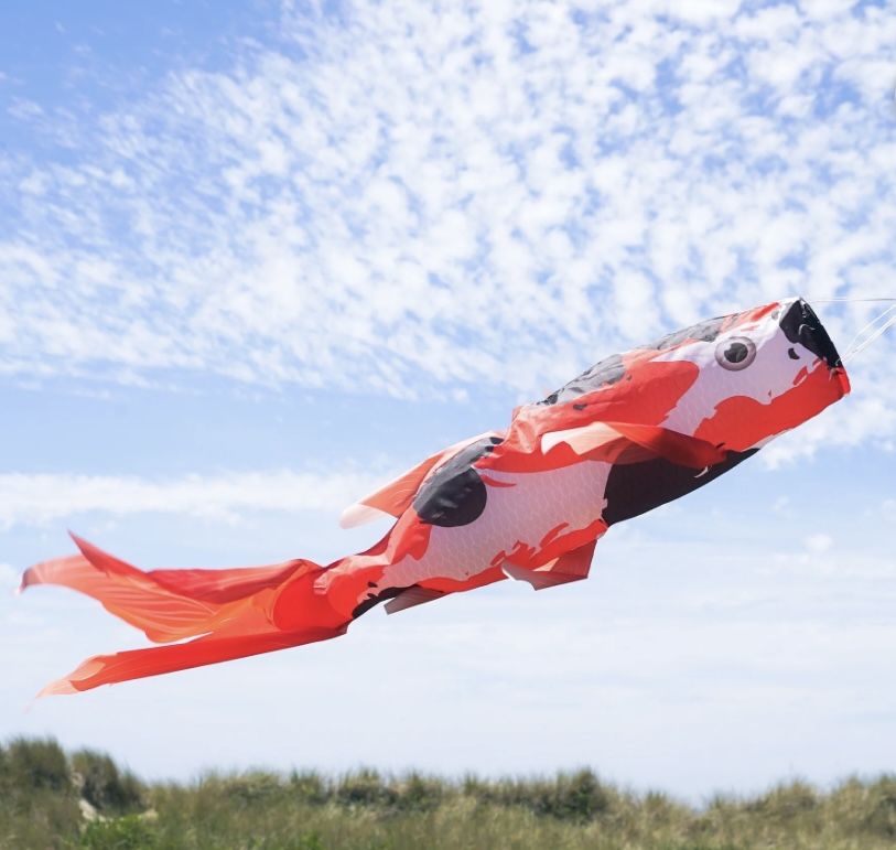LARGE Fish Windsock NEW