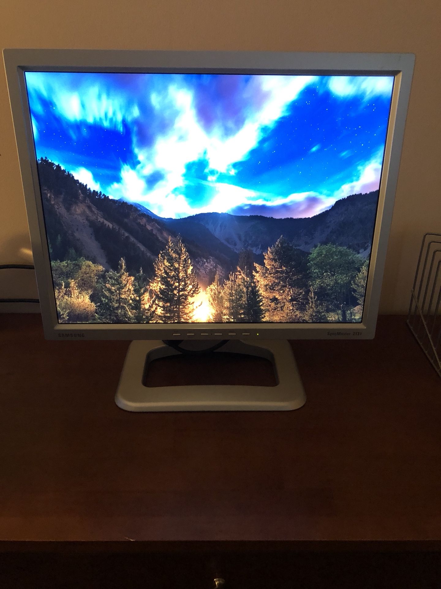 Samsung Syncmaster 213T