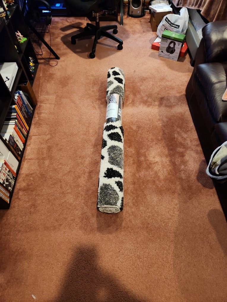 area rug