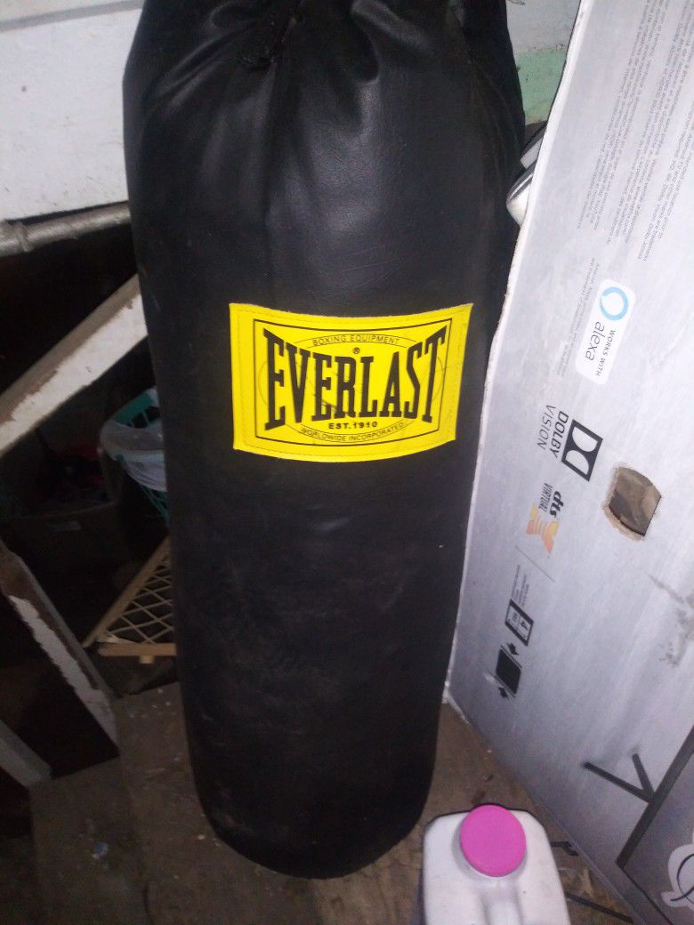 Everlast Heavyweight bag