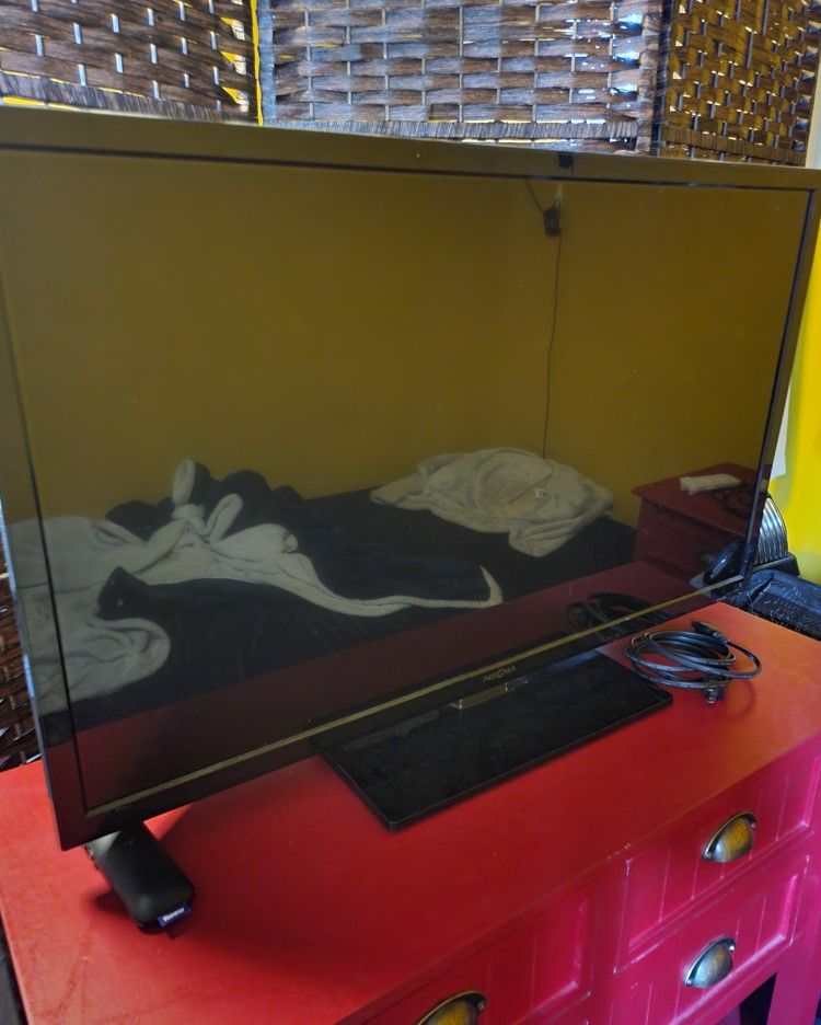 32" Insignia TV