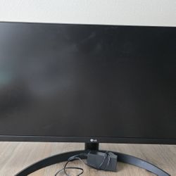 LG 29” UltraWide Full HD Monitor (29WP500)