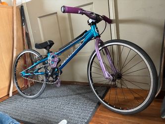 18” Redline Proline Mini Racing BMX Bike