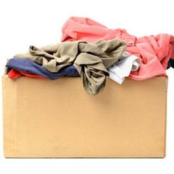 Woman Bull Clothing!