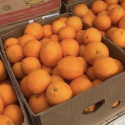 Sweet Oranges Boxes 