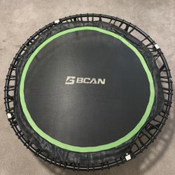 BCAN REBOUNDER