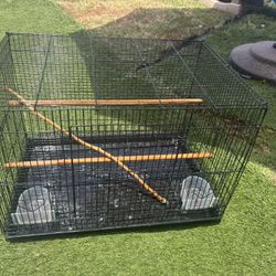 Bird Cage 