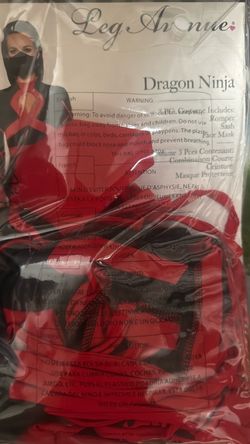 Dragon ninja costume