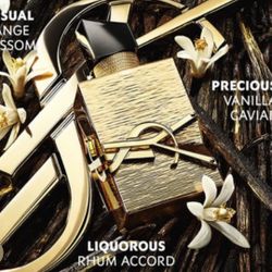 Ysl Vanilla  Perfume Sealed 3.4 Oz Brand New Authentic , Retail 400