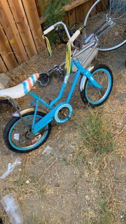 Coaster brake bike