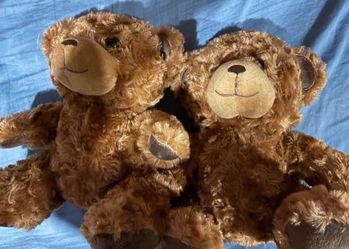 Teddy bears