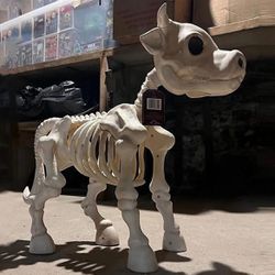 Cow Skeleton Halloween Decoration Tractor Supply Tik Tok