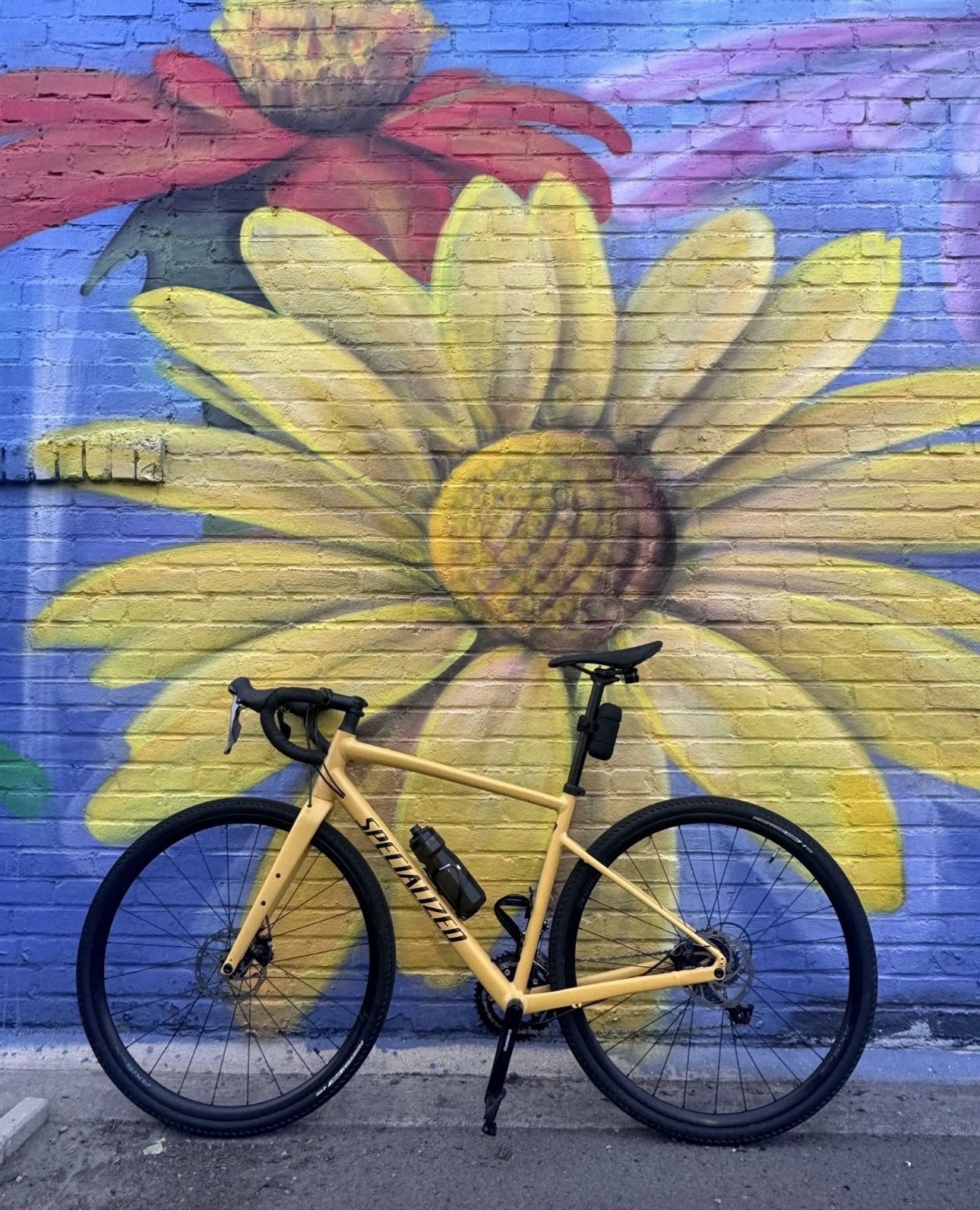 2022 Specialized Diverge E5