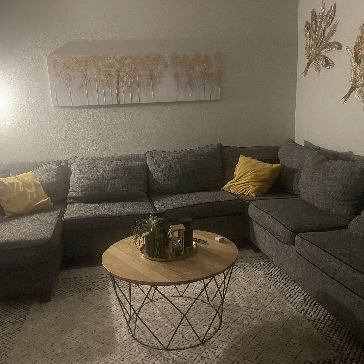 Sectional Gray Couches
