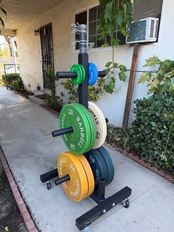Olympic bumper plates with tree stand