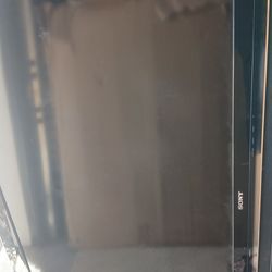 50 in TV  Sony
