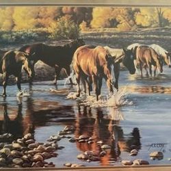 “Coming In At Sundown” Print/Picture