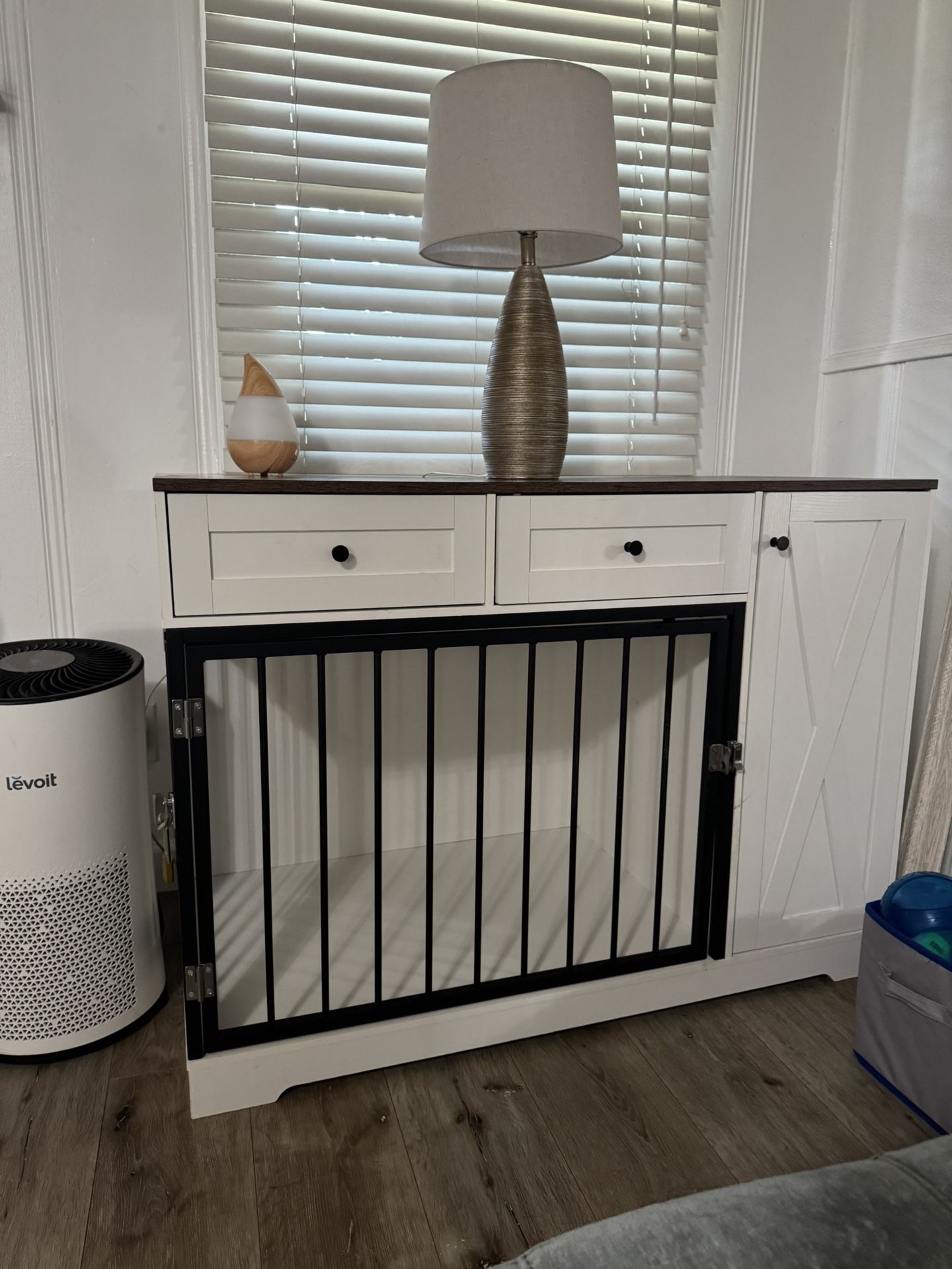 Modern Dog Kennel