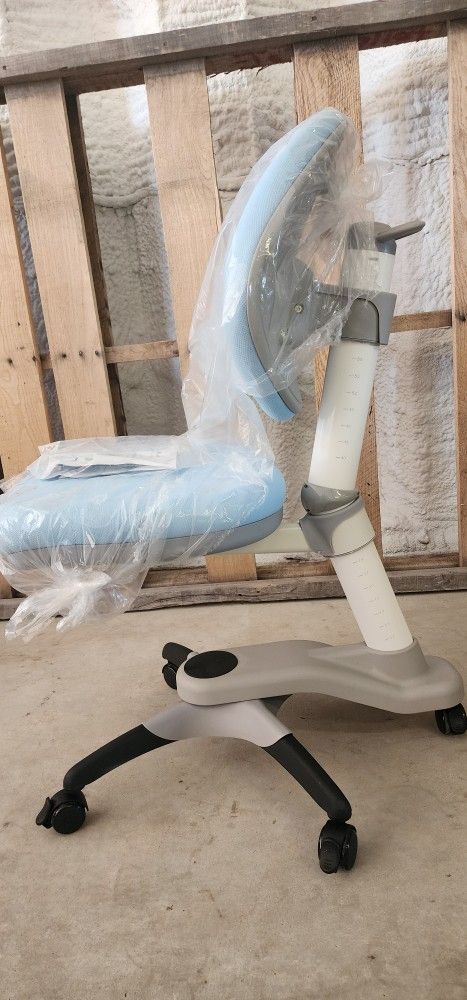 Brand New Desk Chair