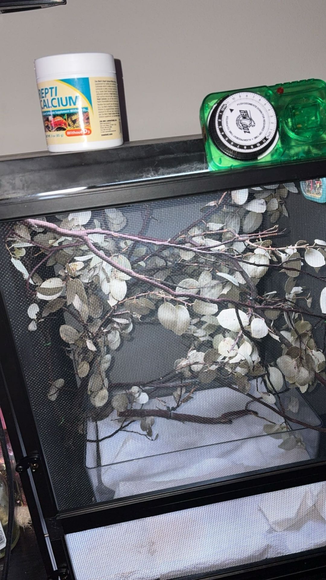 Chameleon Enclosure With Light And Timer And Humidifier And Hydrometer 