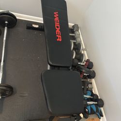 Workout Bench 