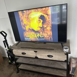 100 OBO 50" TV VIZIO AND STAND