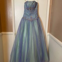 Quinceanera/Formal/Prom Dress