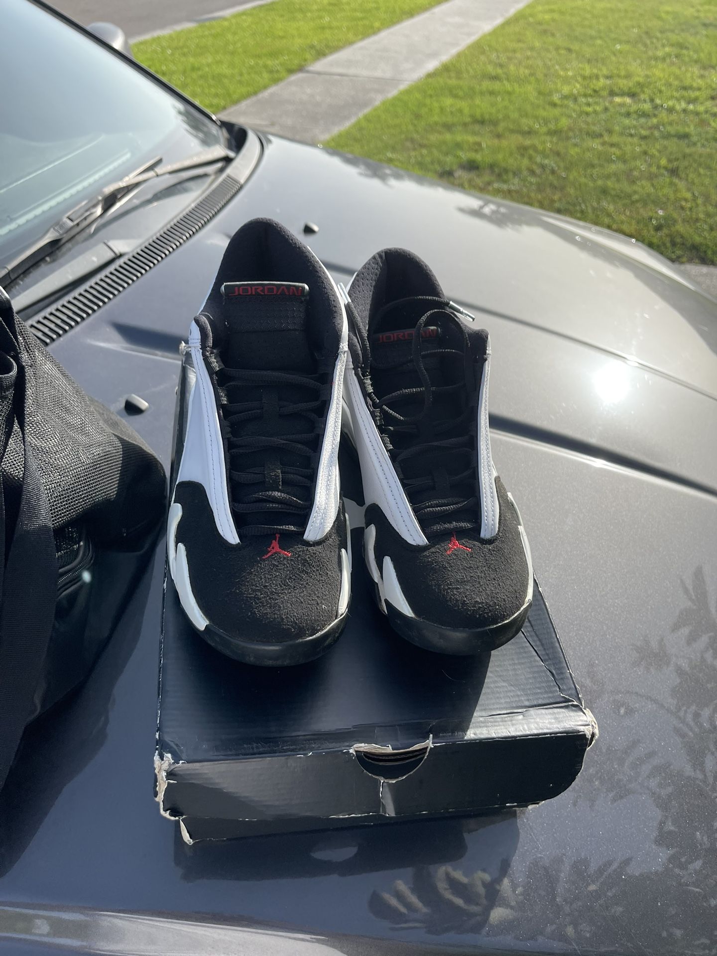Black Toe 14 2014