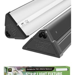 Reptile Light Fixture & Bulb 