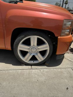 24” Texas Editions