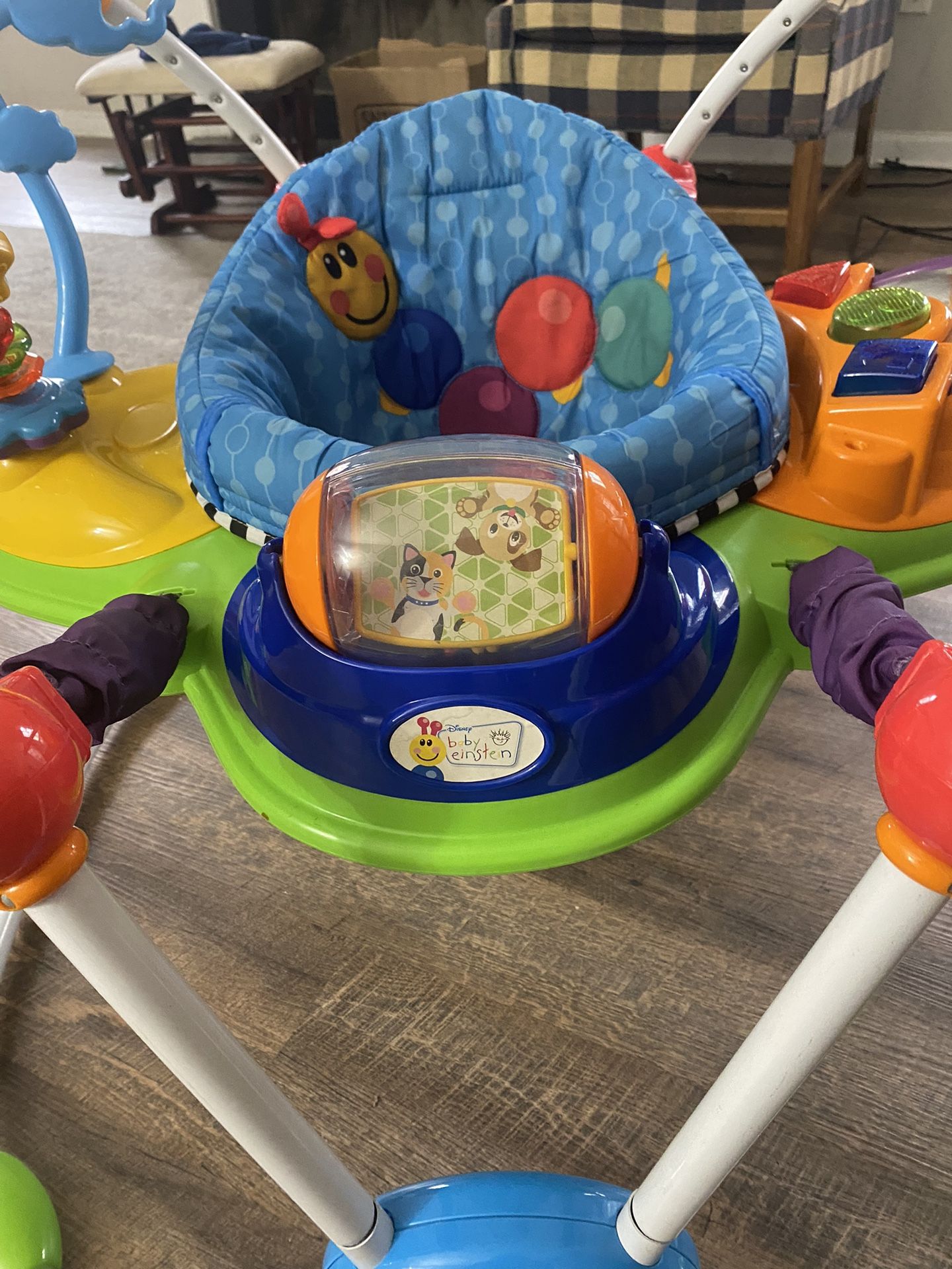 Baby Einstein Baby Bouncer