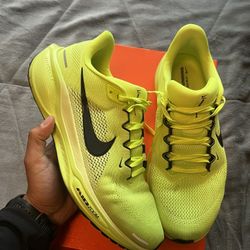 Nike Pegasus 41 Size11