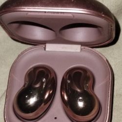 Samsung Earbuds 