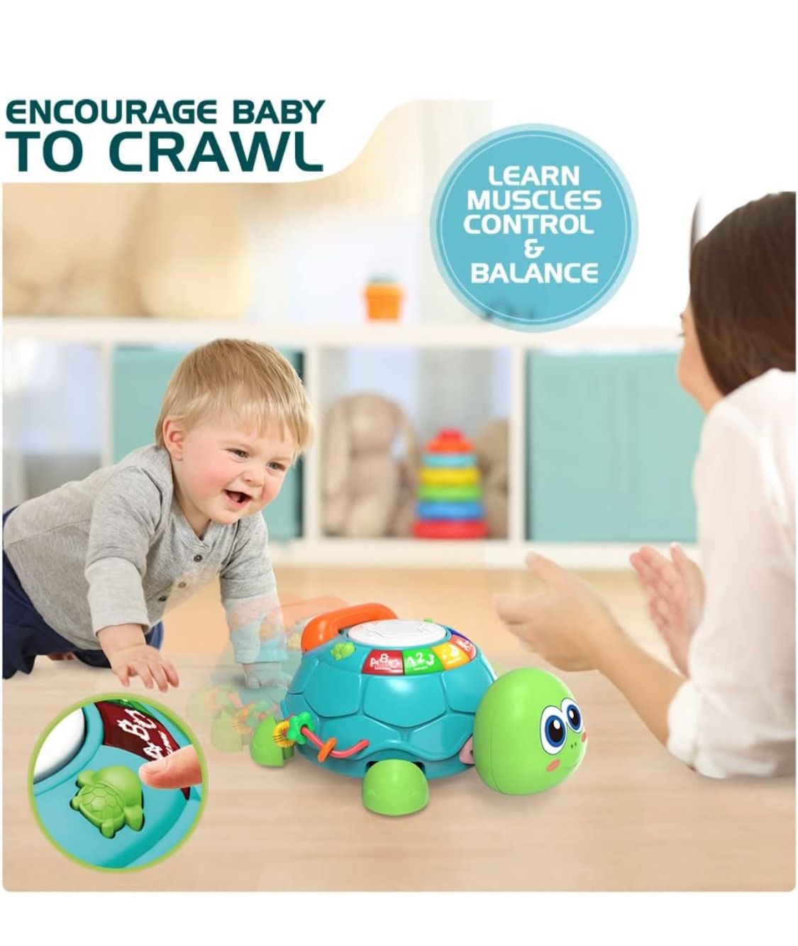 Toy turtle