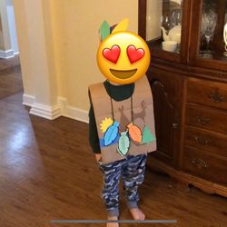 China Cabinet - 100% Cherry Wood