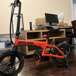 Skylark Electric Bike 