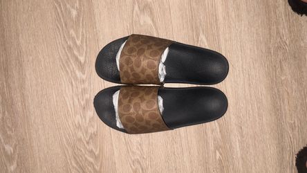 Tan Coach Slides