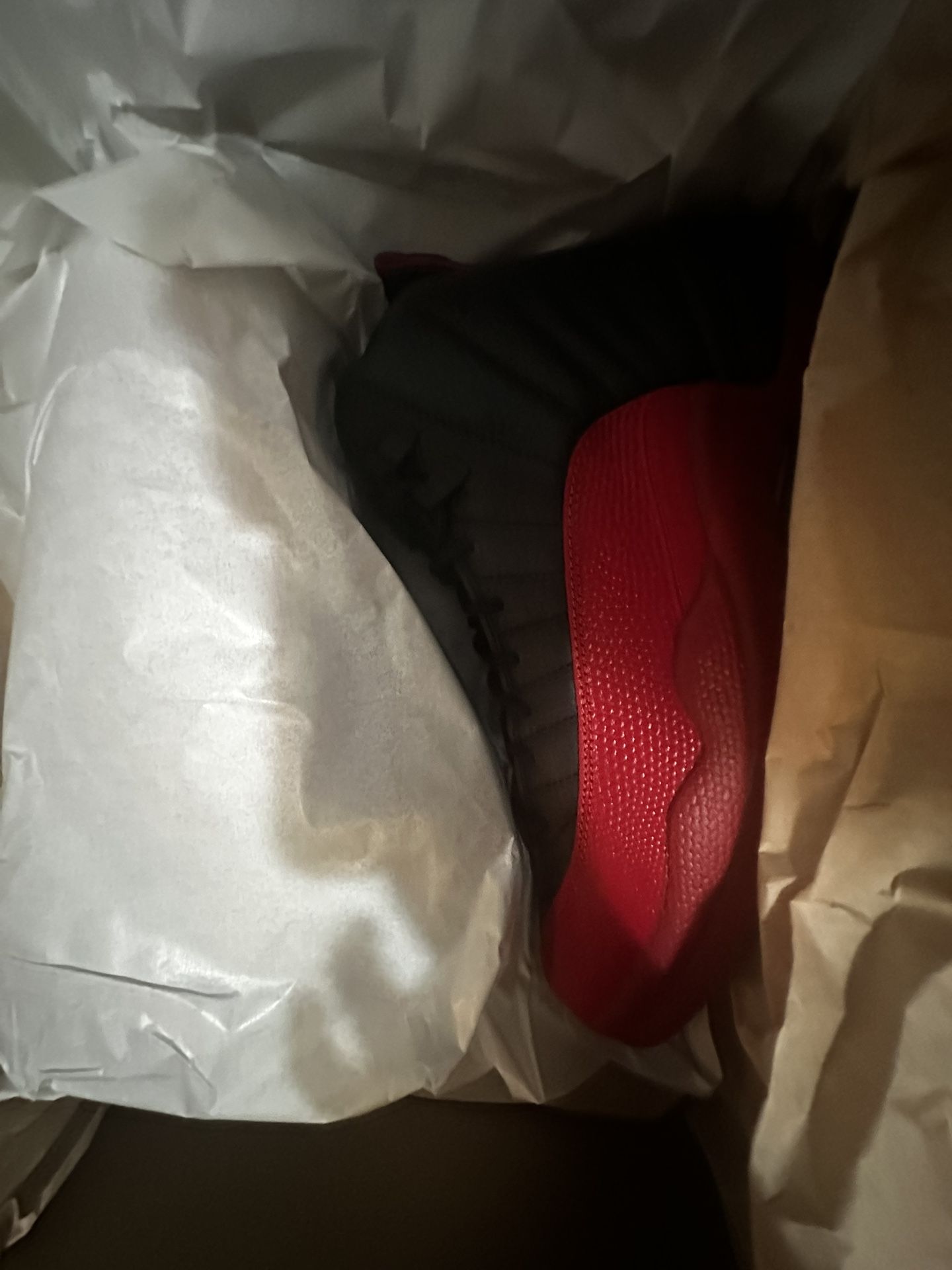 Jordan 12( Flue game) 2025